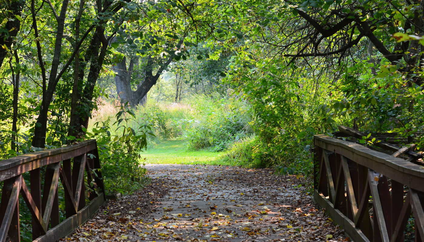 Bridge and trail at Sagawau Environmental Learning Center. Photo by Christine Karge Dewey.