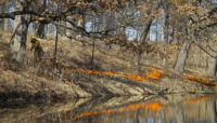 A prescribed burn at Arthur L. Janura Preserve.